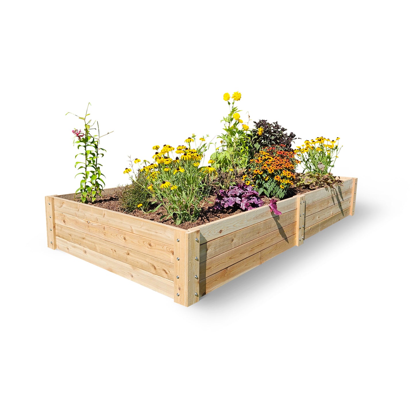 Cedar Raised Garden Bed - 4' x 8' x 14"