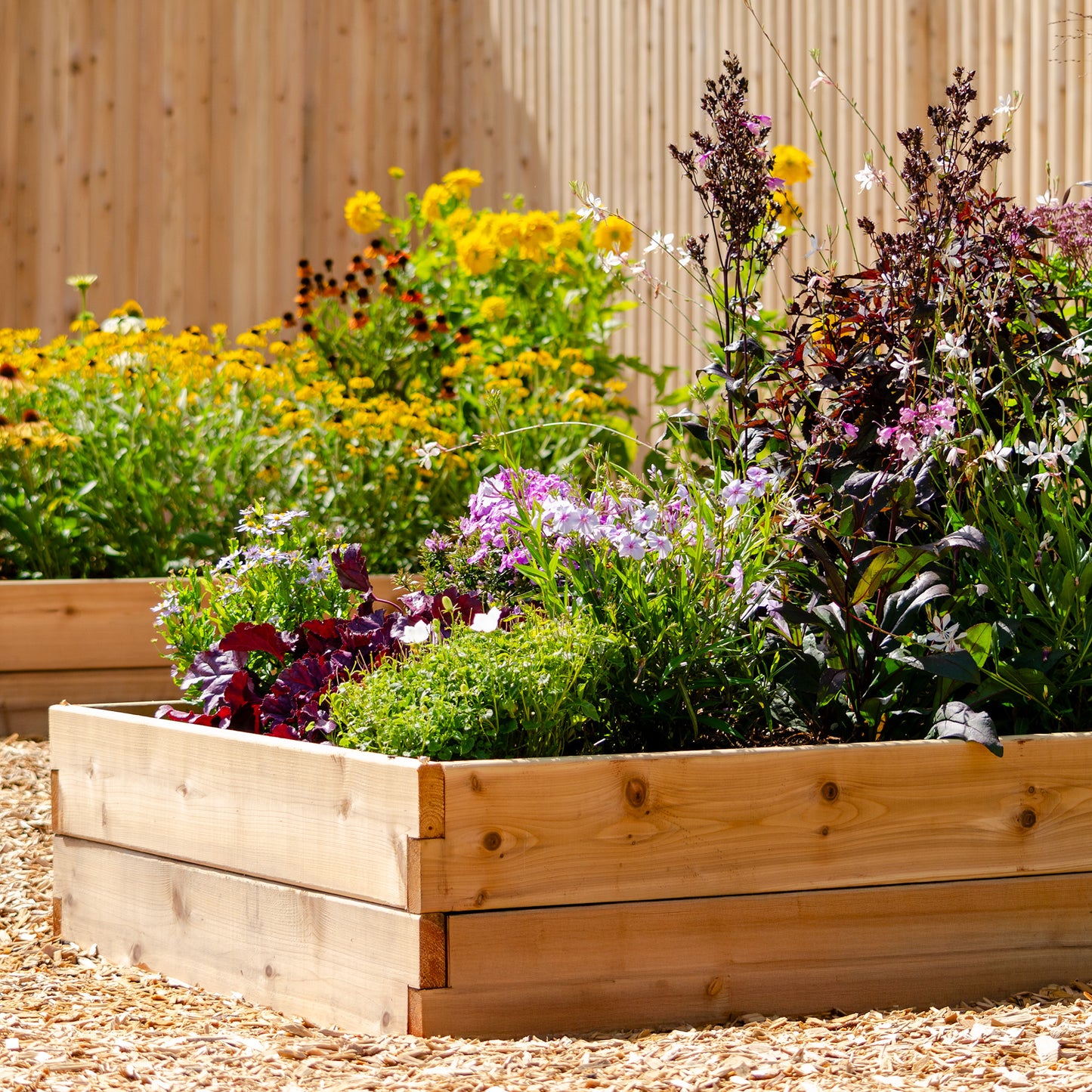 Cedar Raised Garden Bed - 3' x 6' x 11"